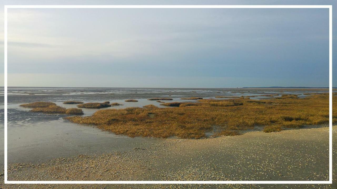 Odyssee Gite Sur Peniche 索姆河畔的圣瓦列里 外观 照片